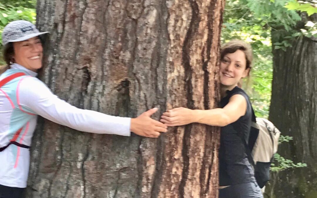 Possibilités de bénévolat 2026 avec les Amis de la Dumoine